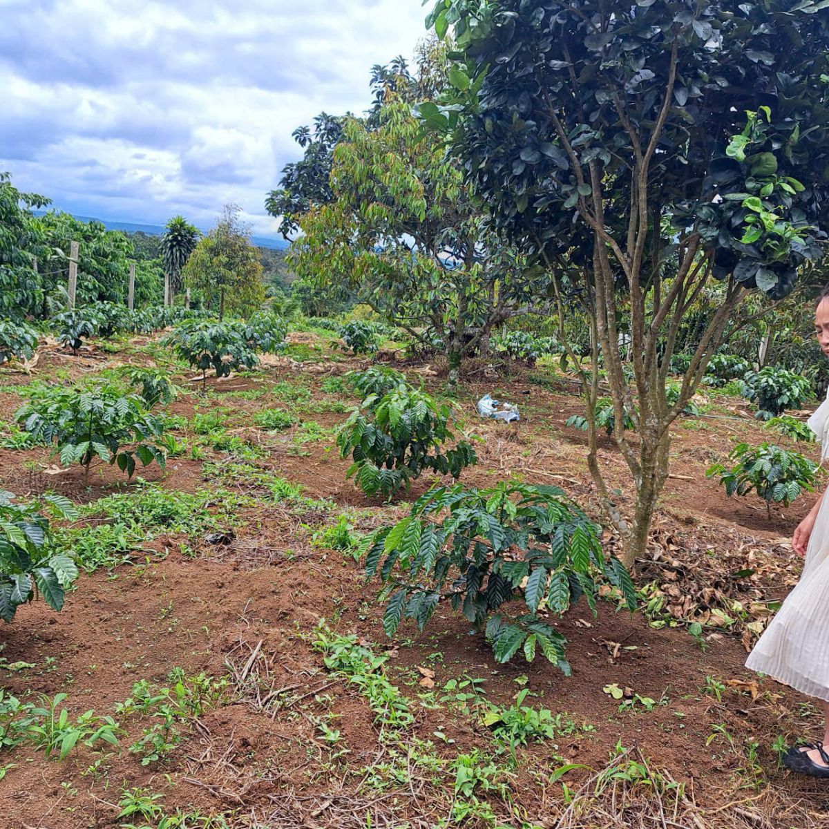 Đất Nền Bảo Lộc