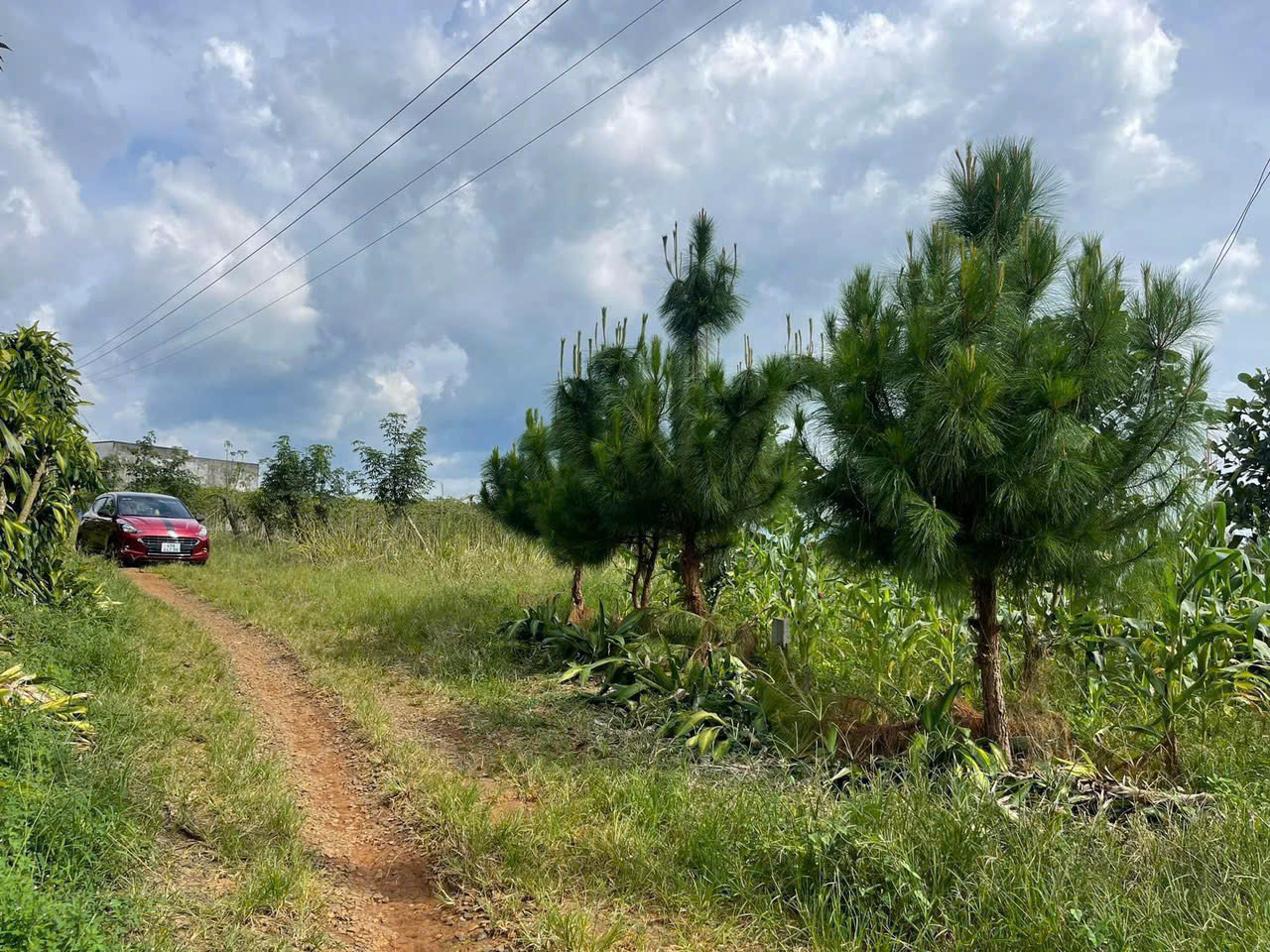 Đất Nền Bảo Lộc 