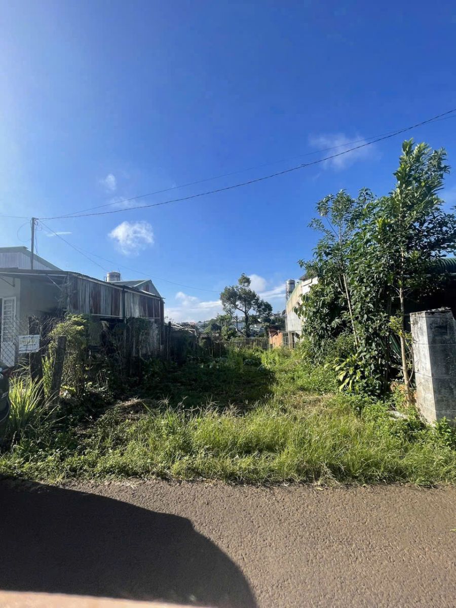 Đất Nèn Bảo Lộc