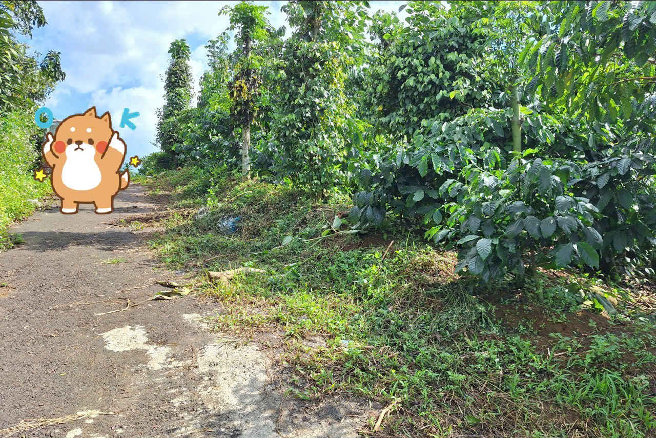 Đất Nền Bảo Lộc