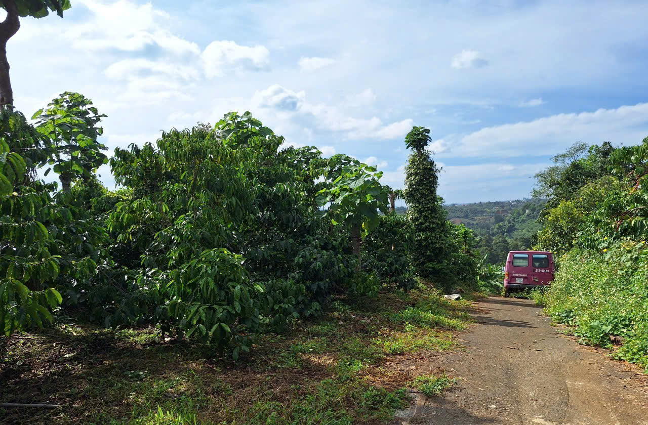 Đất Nền Bảo Lộc