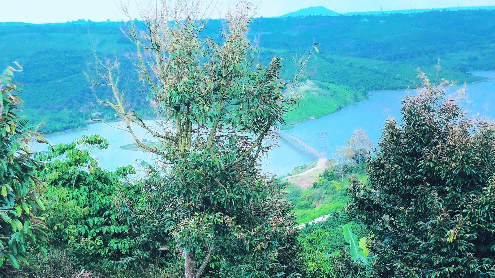 Đất nền Bảo Lộc