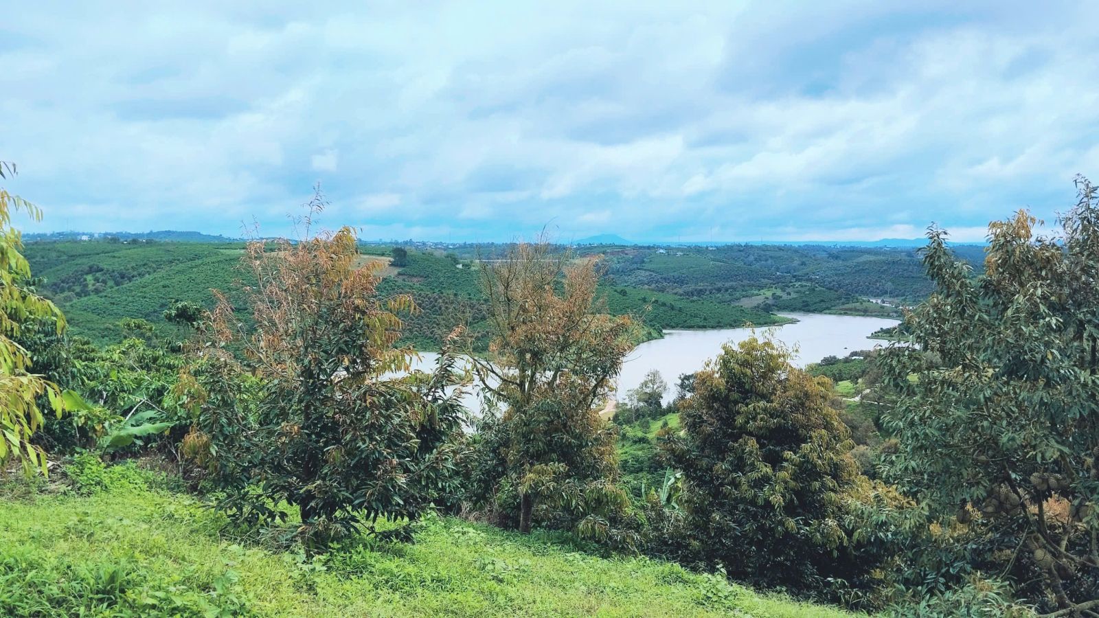 Đất nền Bảo Lộc