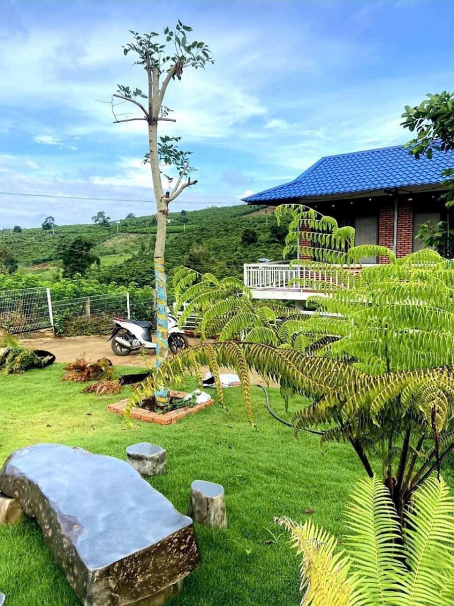 Đất Nền Bảo Lộc