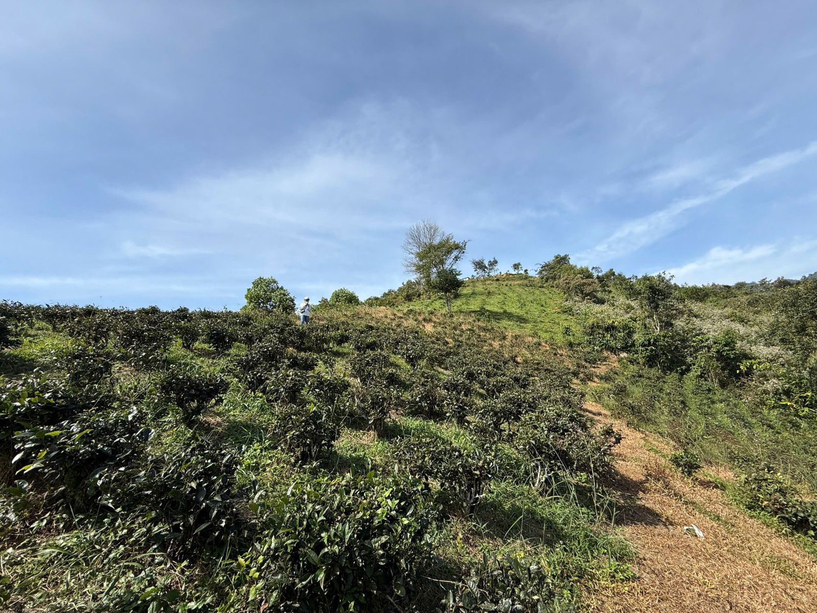 Đất nền Bảo Lộc