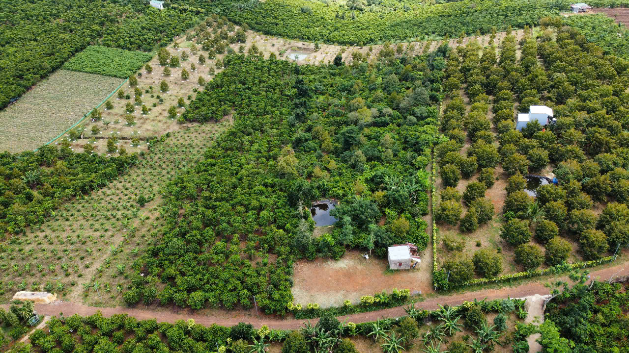 Đất nền Bảo Lộc