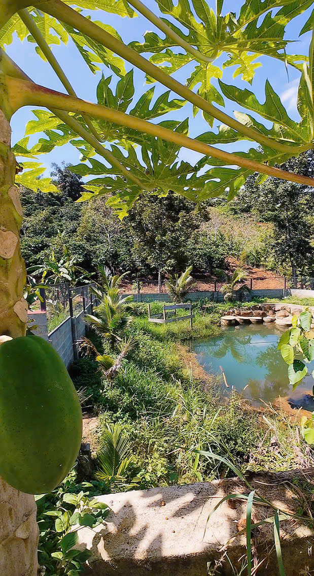 Đất Nền Bảo Lộc