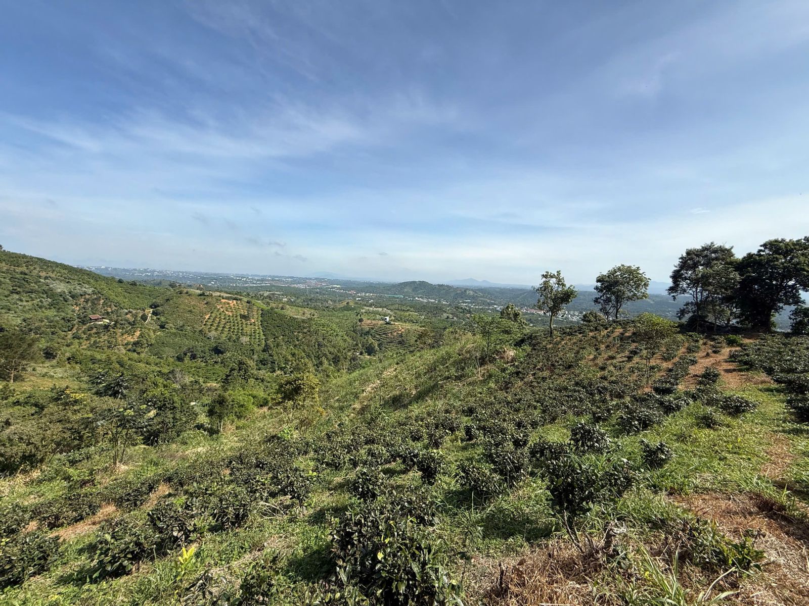 đất nền Bảo Lộc