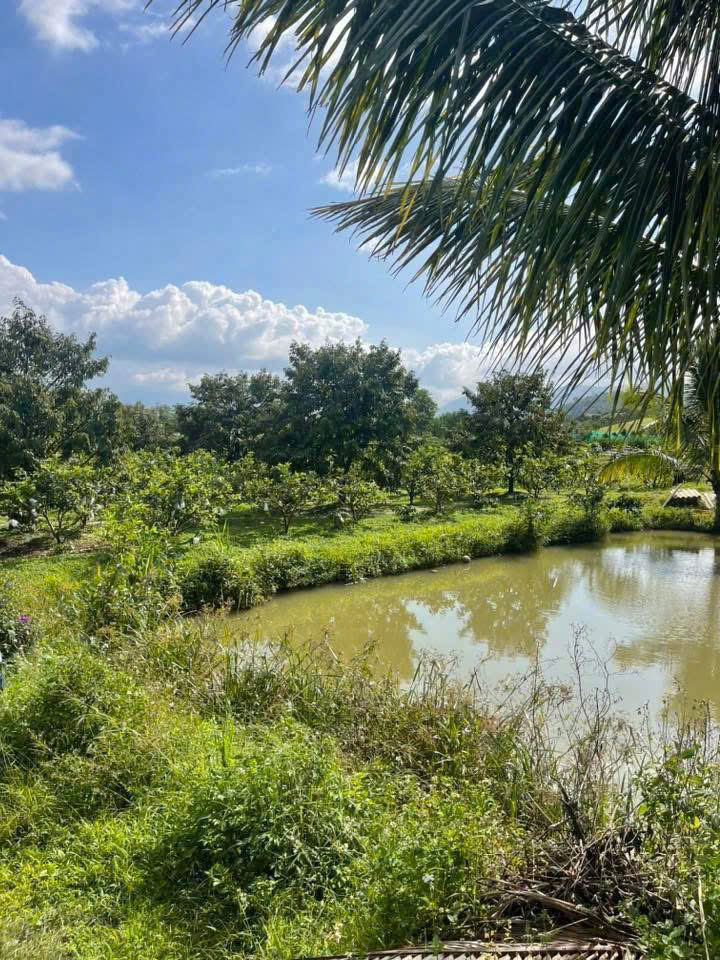 đất nền Bảo Lộc