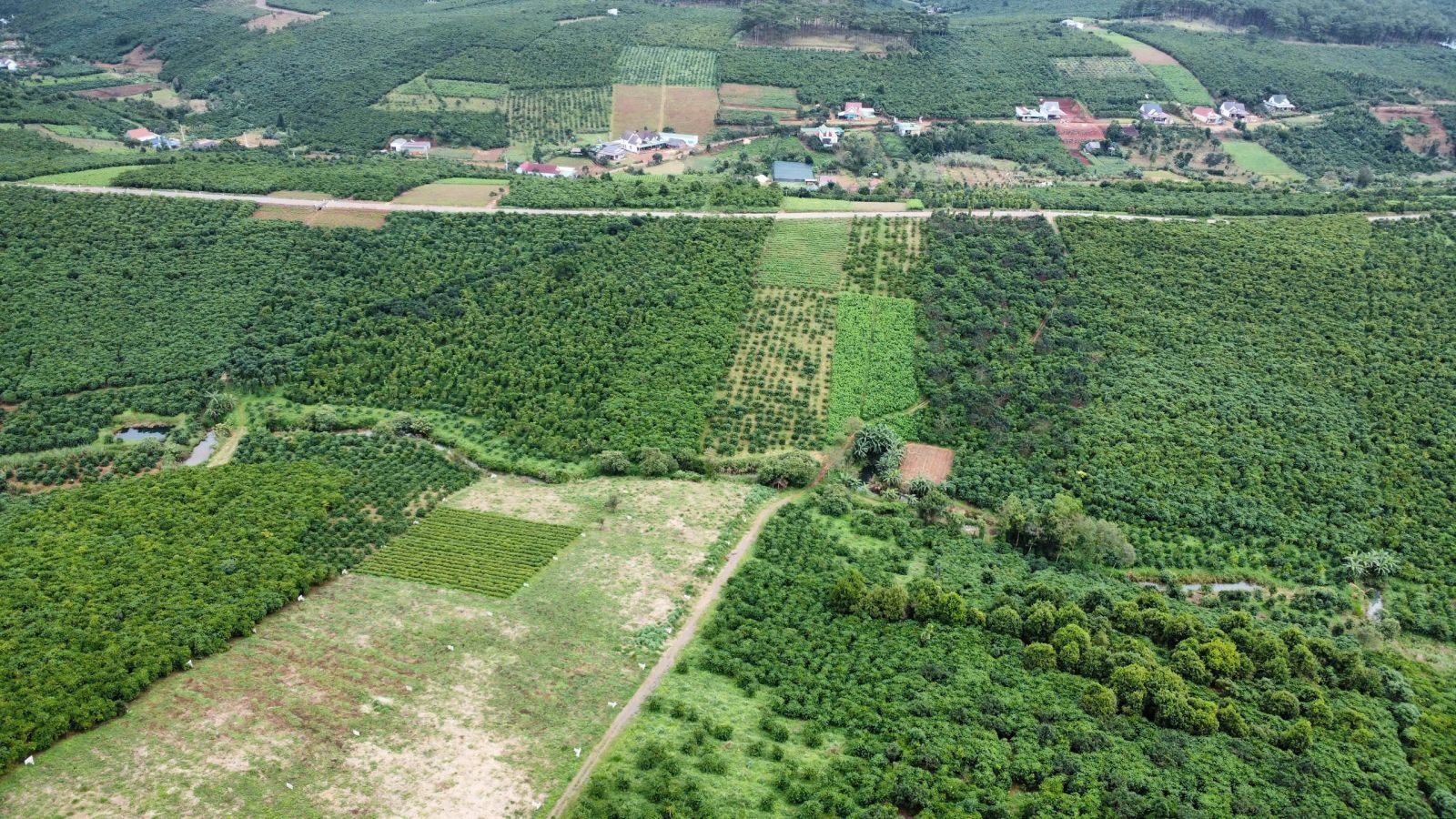 Đất nền Bảo Lộc