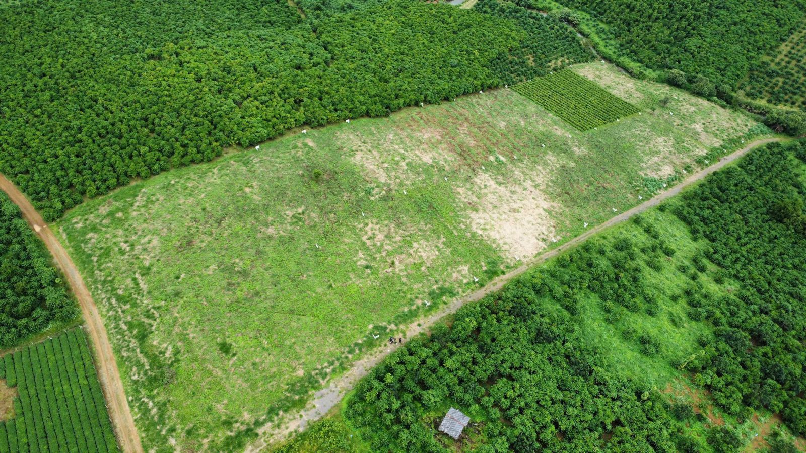 Đất nền Bảo Lộc