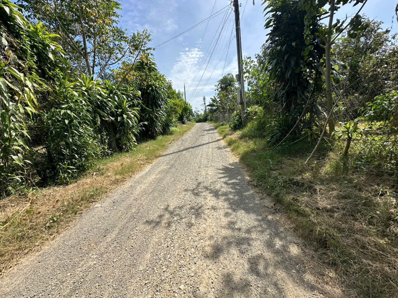 Đất nền Bảo Lộc