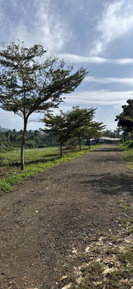 Đất nền Bảo Lộc