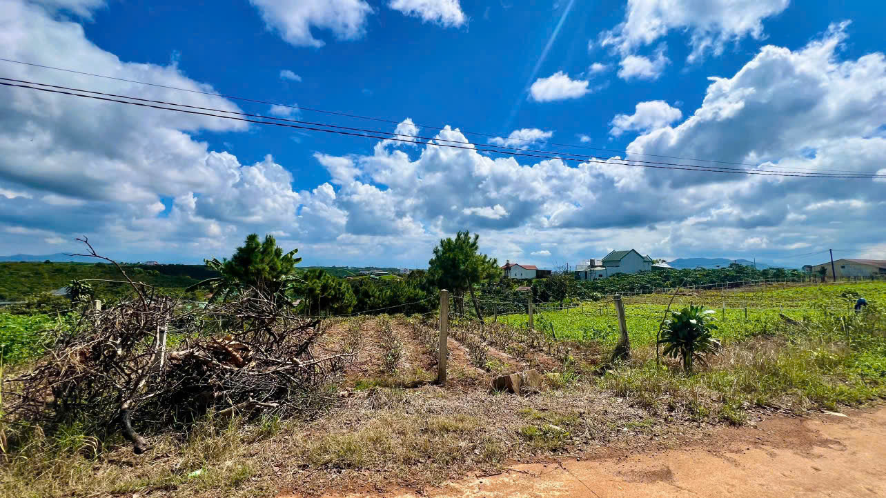 Đất nền Bảo Lộc