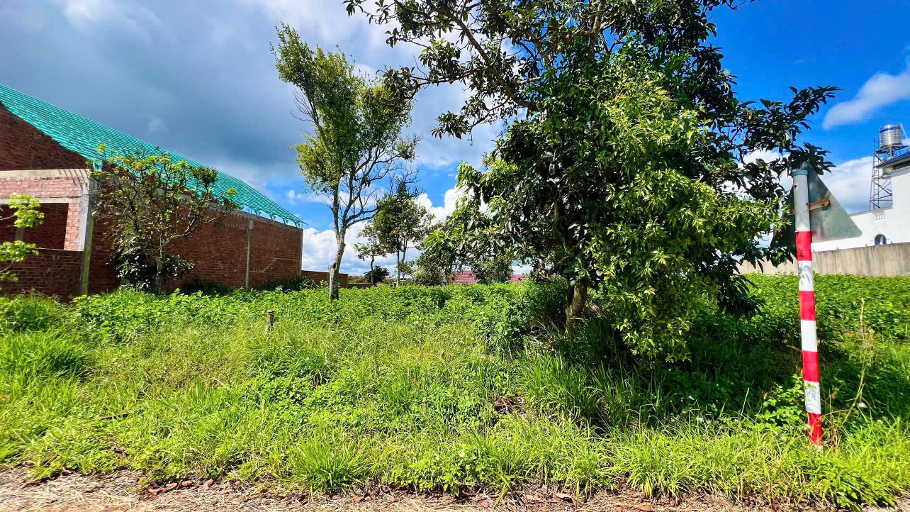 Đất nền Bảo Lộc