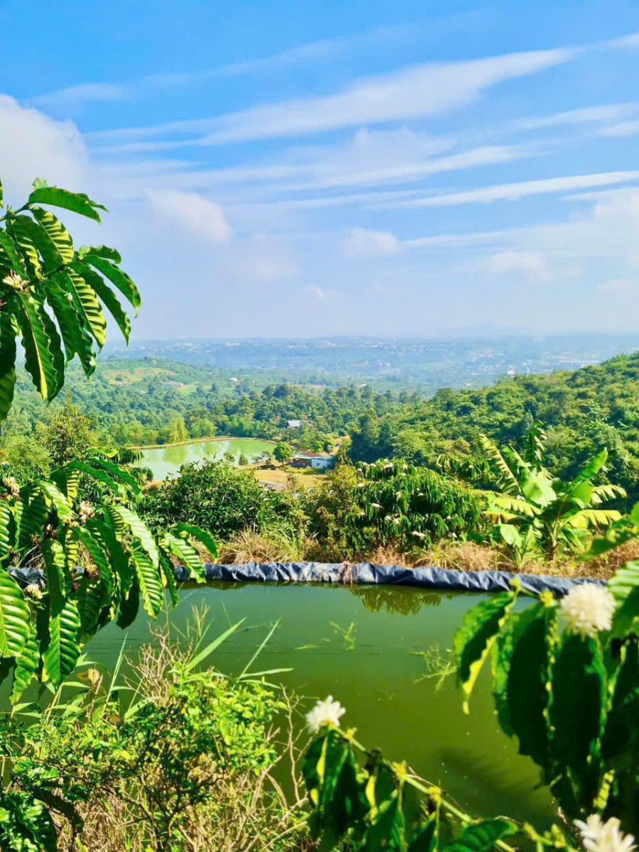 Đất nền Bảo Lộc