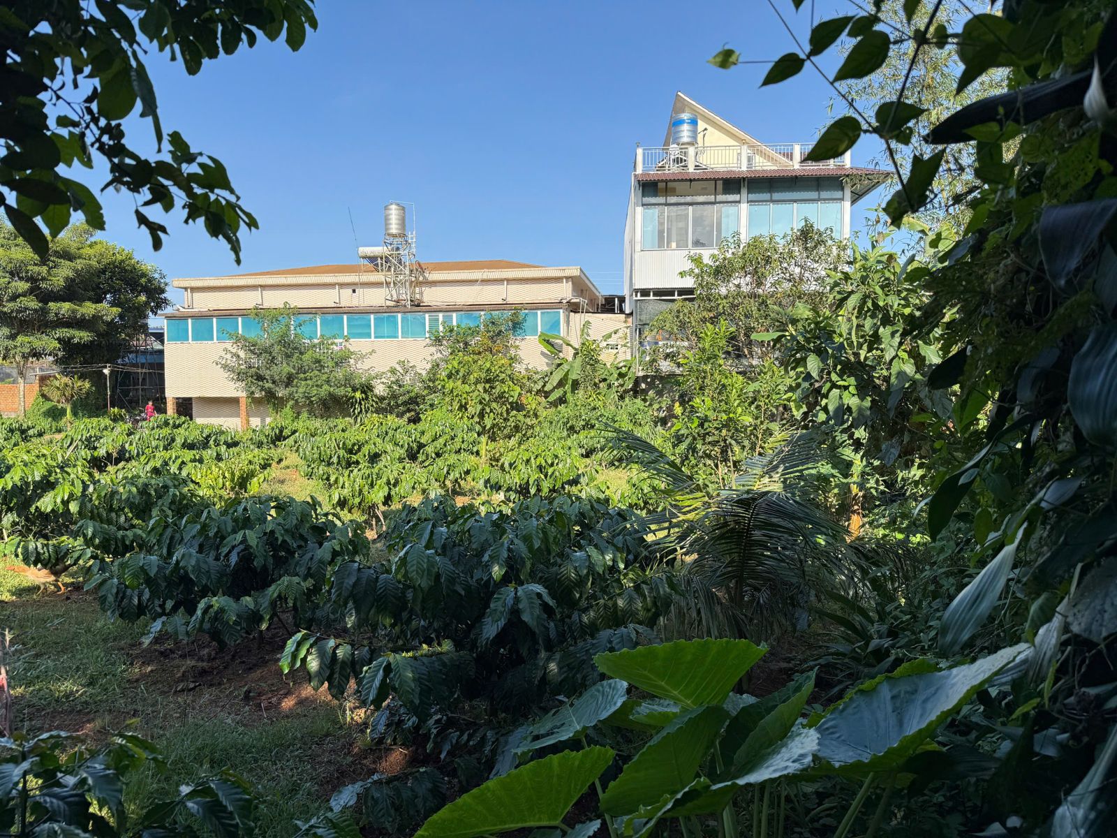 đất nền Bảo Lộc