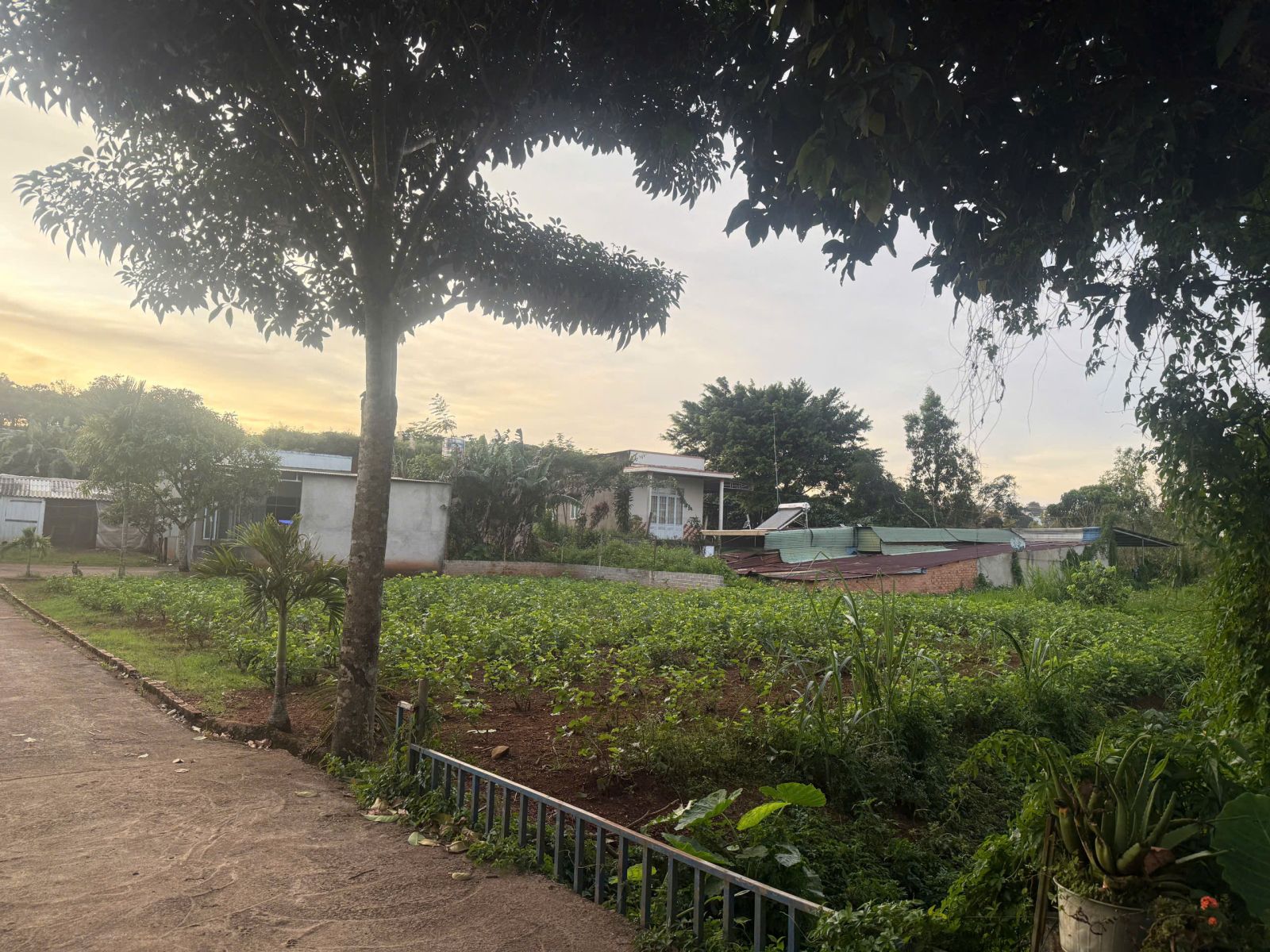 đất nền Bảo Lộc