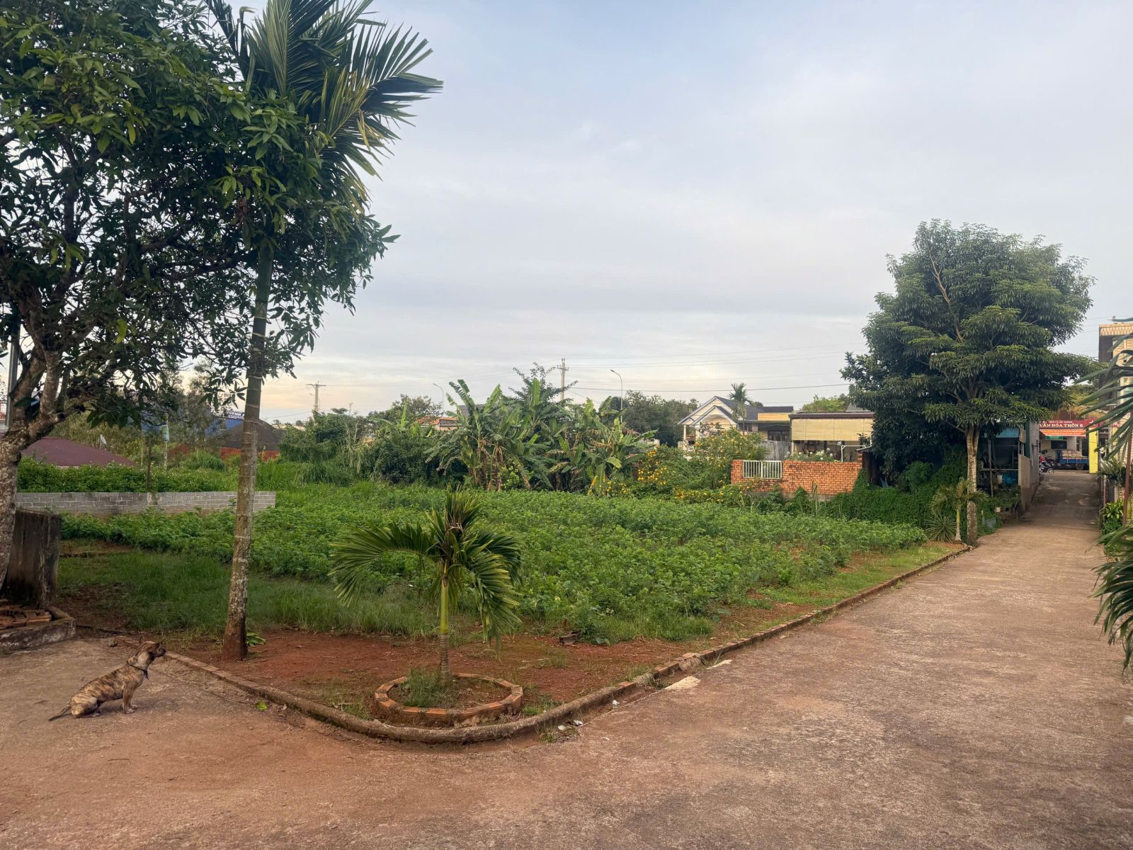 đất nền Bảo Lộc