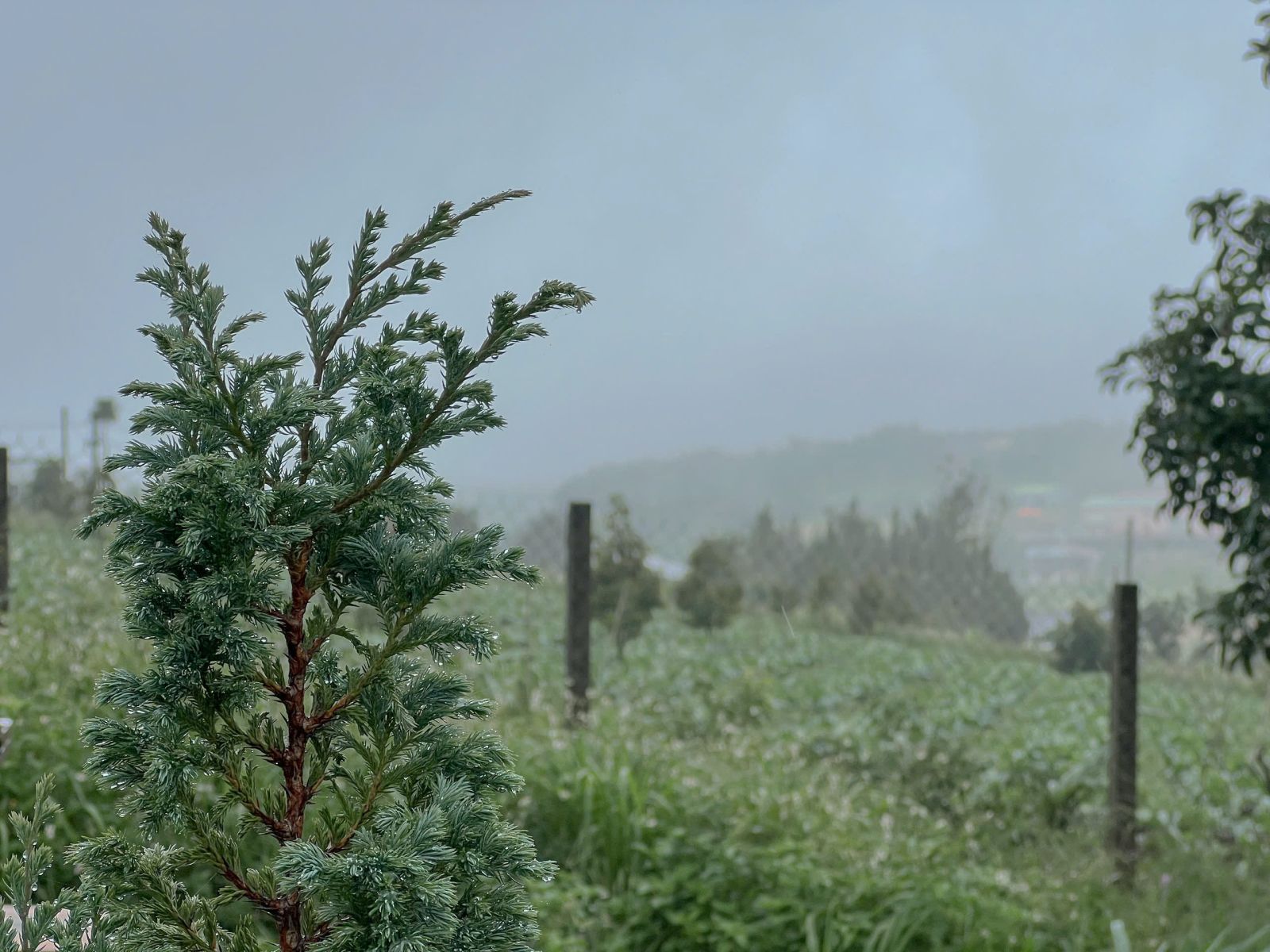 đất nền Bảo Lộc