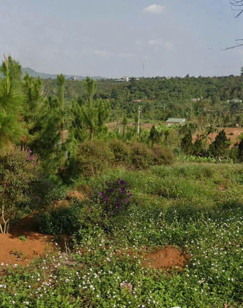 đất nền Bảo Lộc