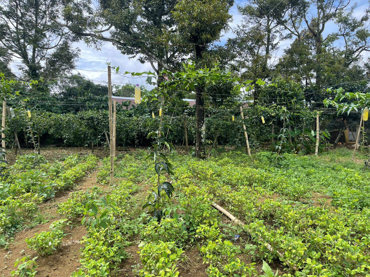 đất nền Bảo Lộc