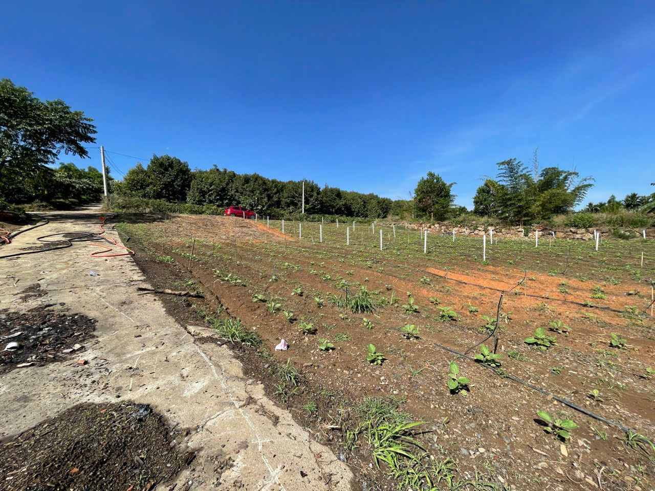 đất nền Bảo Lộc