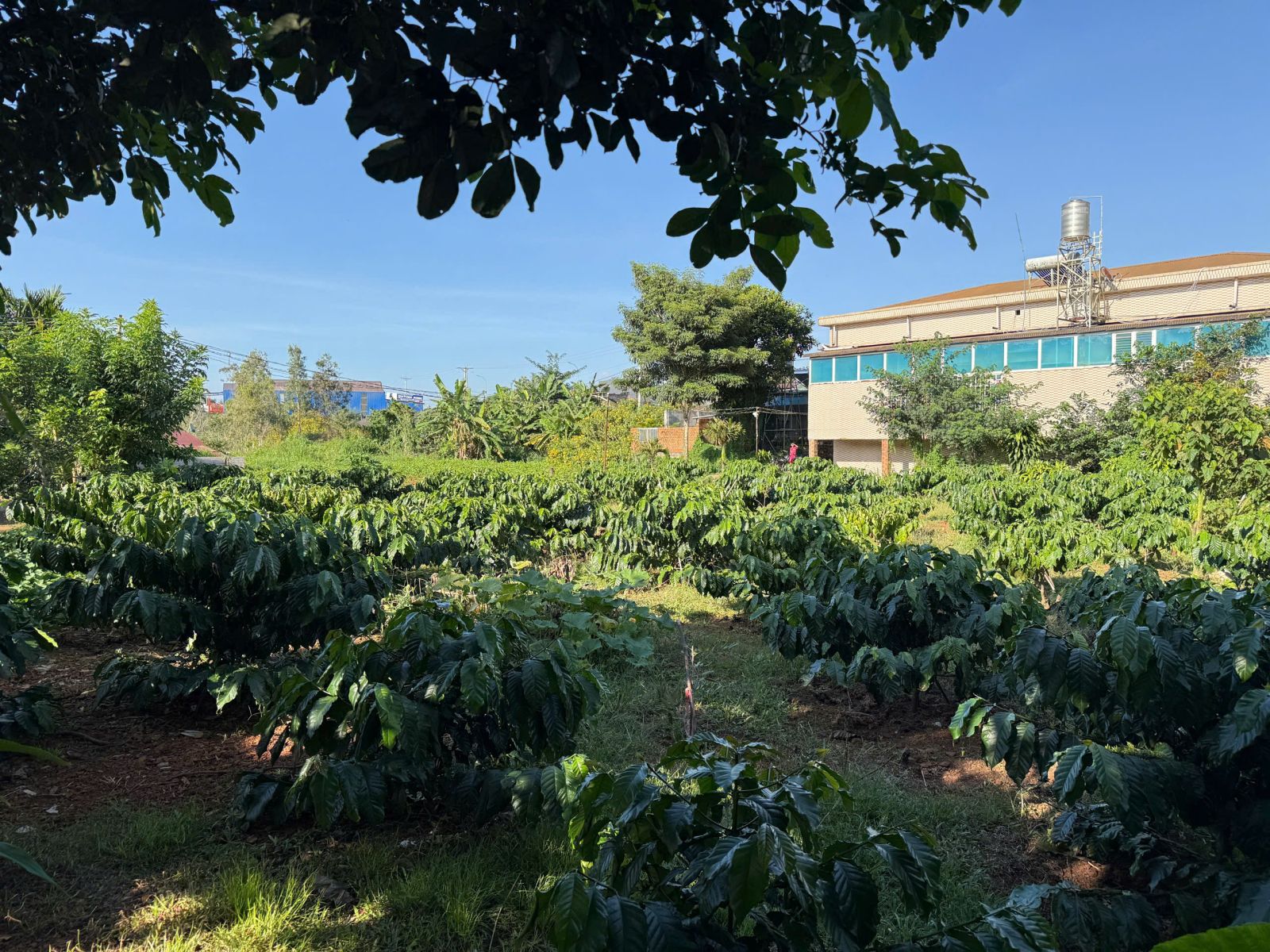 đất nền Bảo Lộc