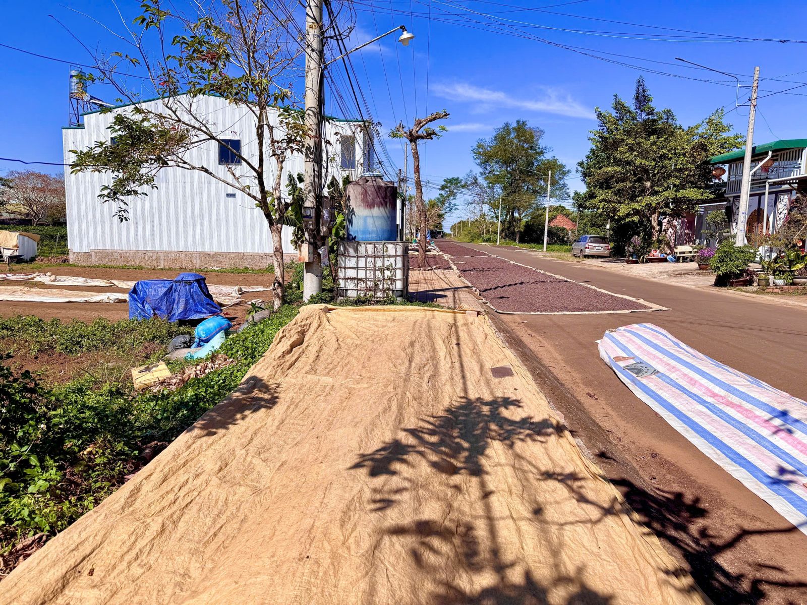 đất nền Bảo Lộc