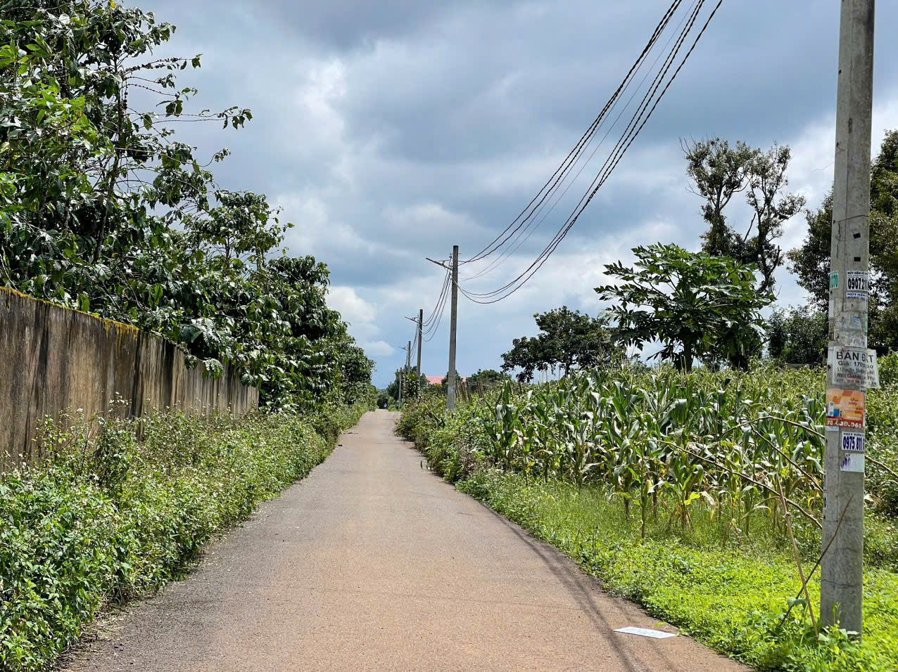 đất nền Bảo Lộc