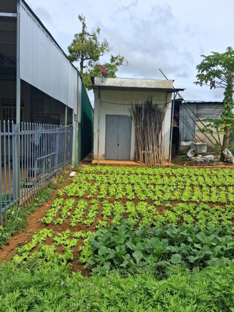 đất nền Bảo Lộc