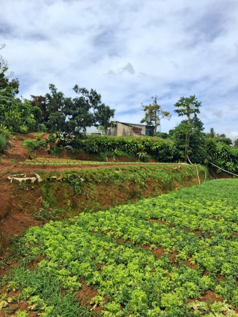 đất nền Bảo Lộc