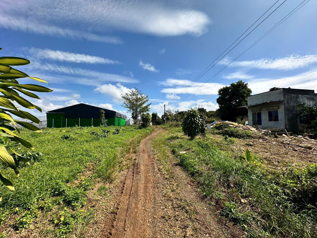 đất nền Bảo Lộc