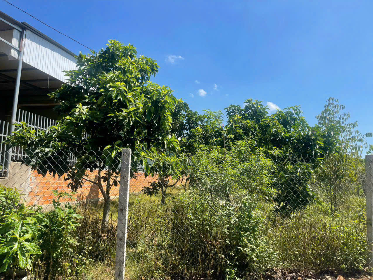 đất nền Bảo Lộc