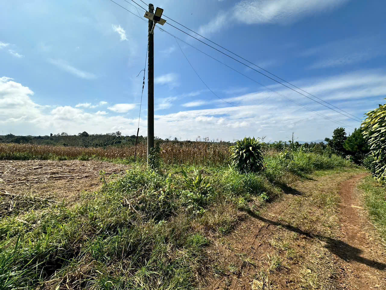 Đất nền Bảo lộc