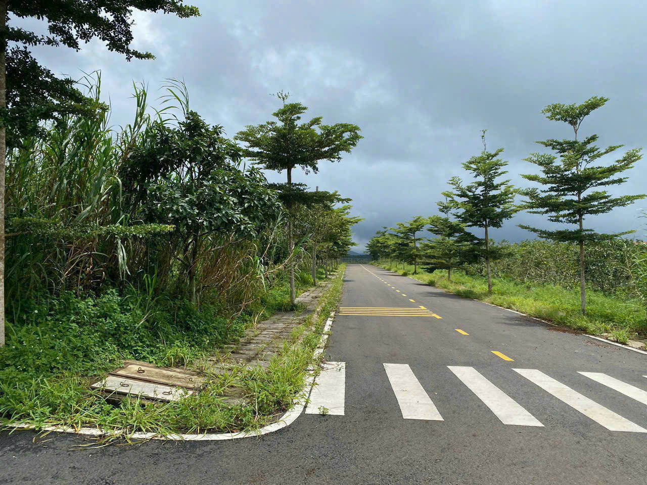 Đất nền Bảo Lộc