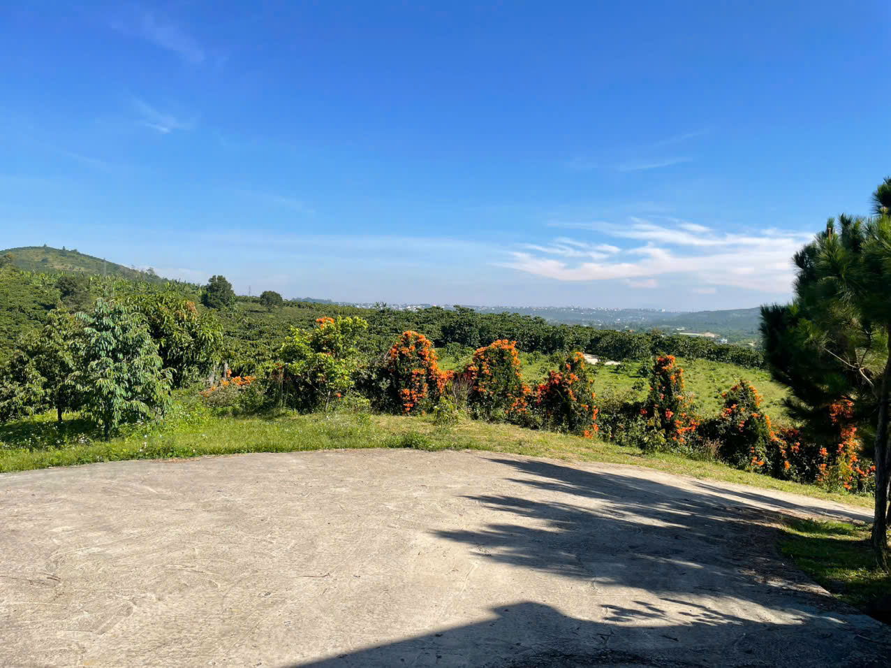 Đất nền Bảo Lộc