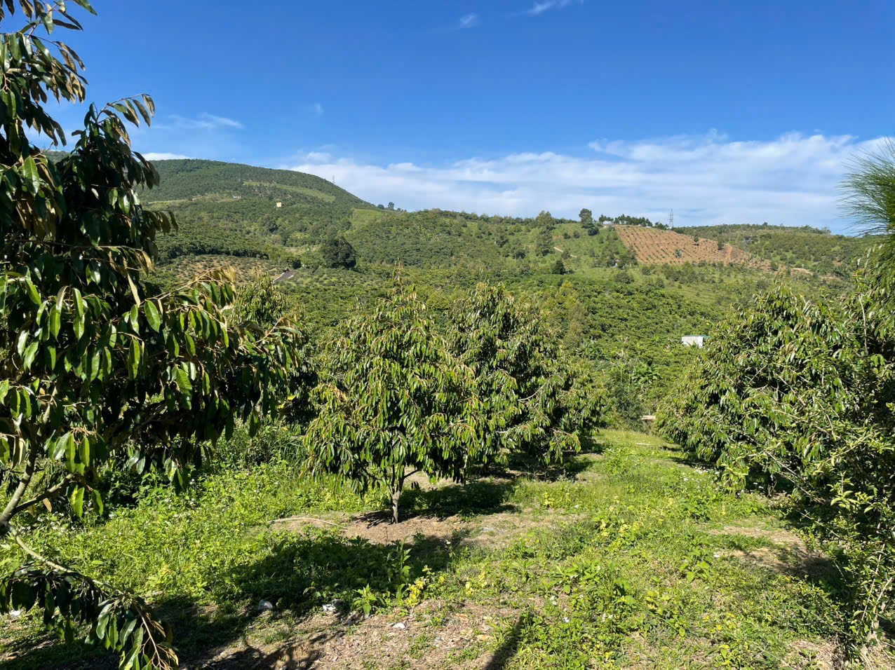 Đất nền Bảo Lộc