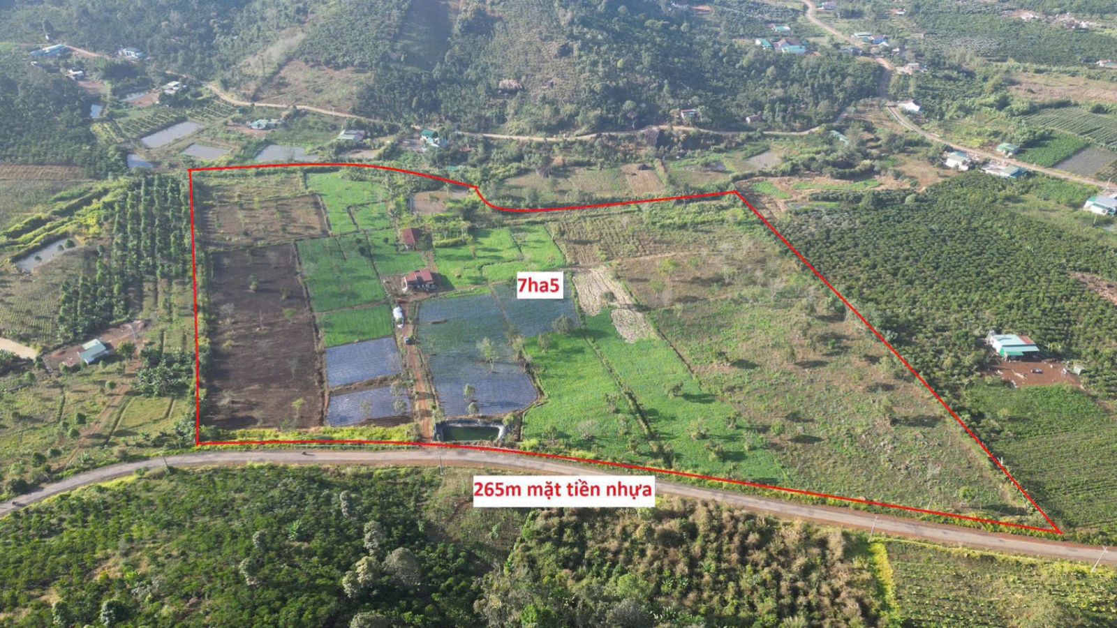 Đất nền Bảo Lộc 