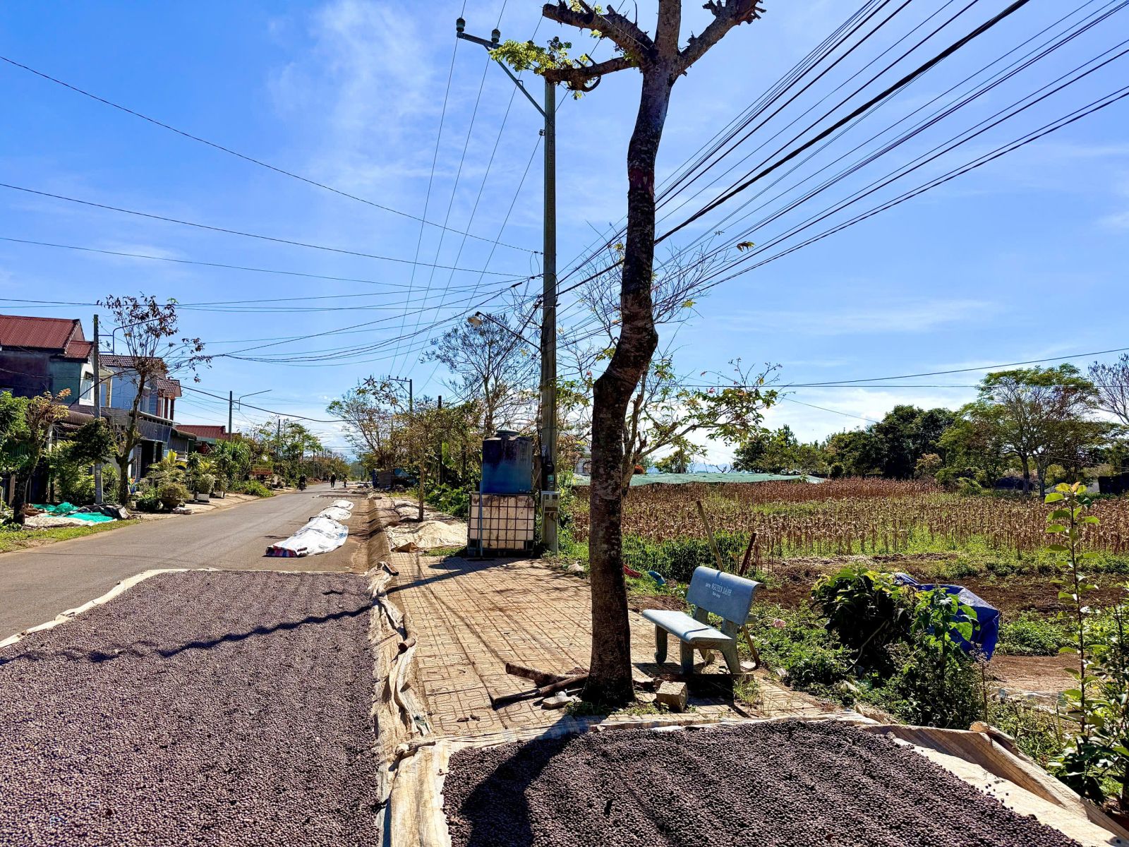 Đất nền Bảo Lộc