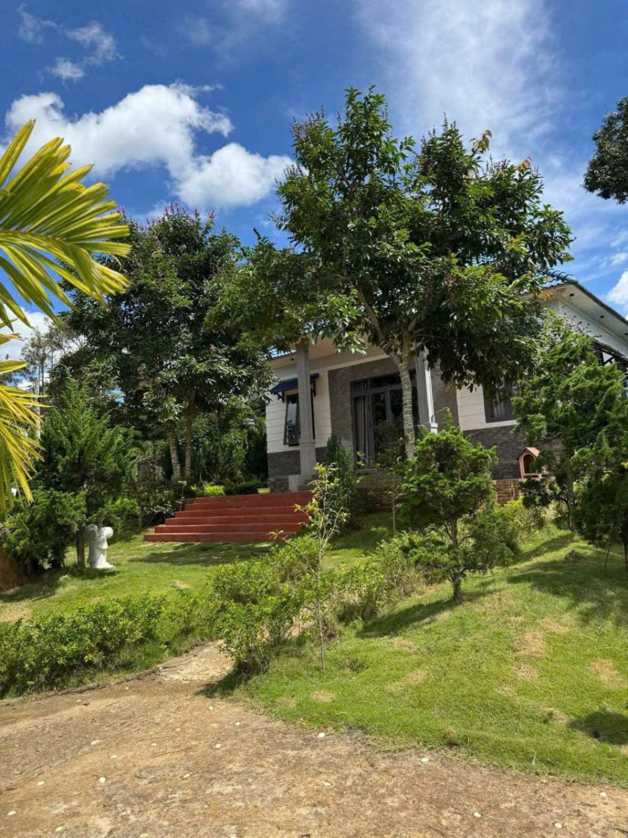 Đất nền Bảo Lộc