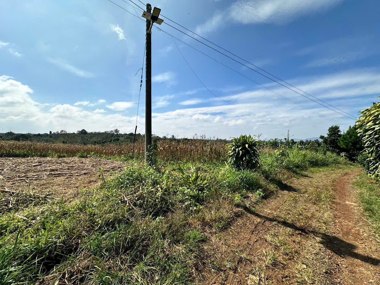 Đất nền Bảo Lộc