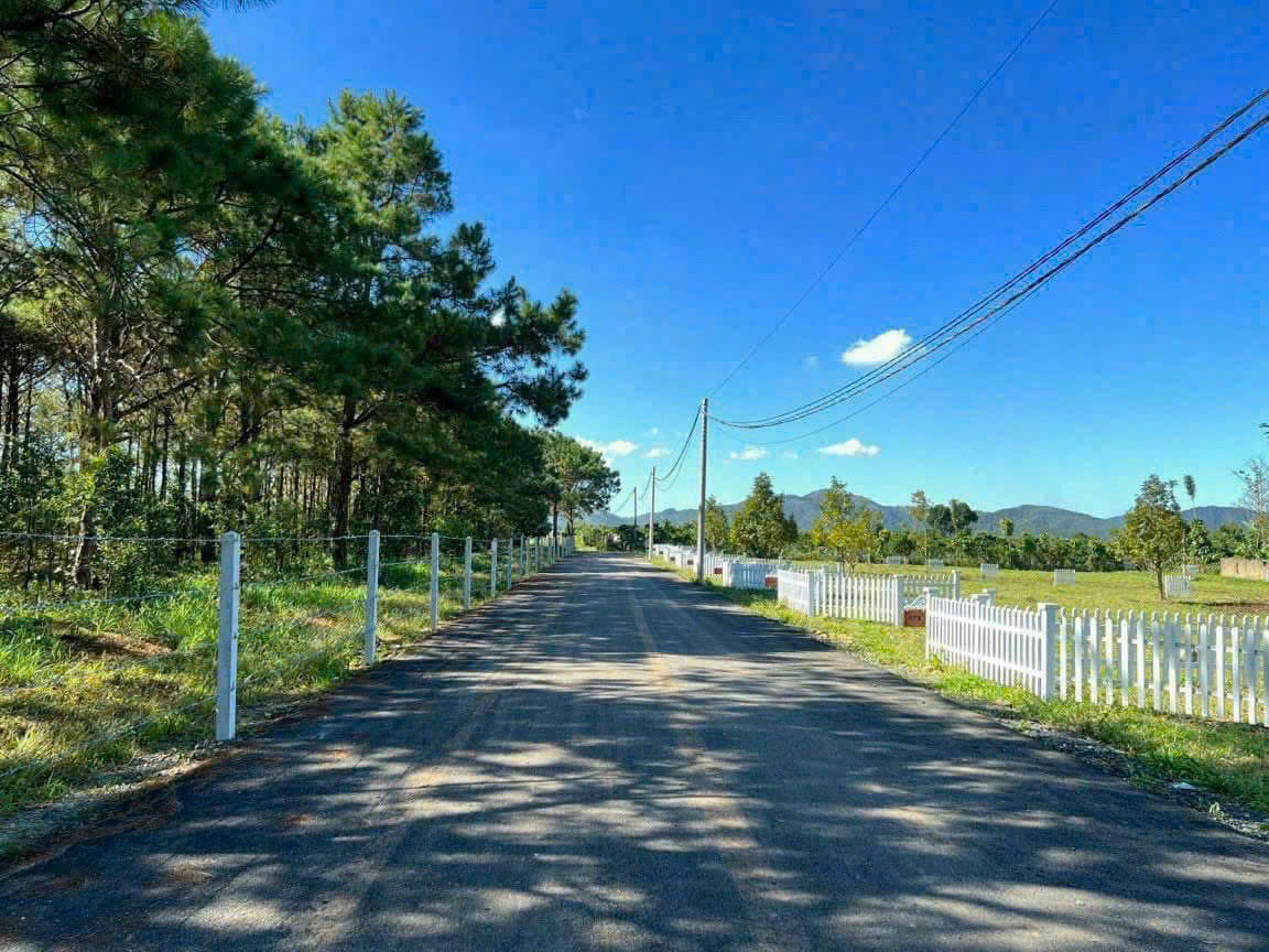 Đất nền Bảo Lộc