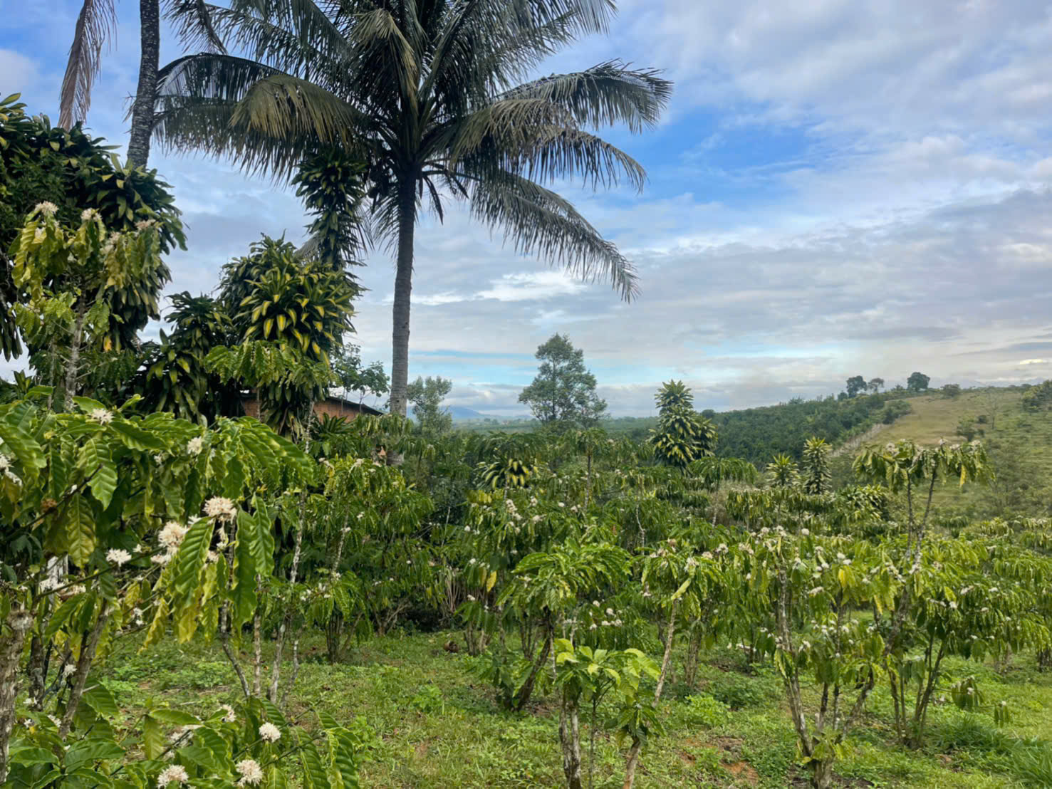 Đất nền Bảo Lộc