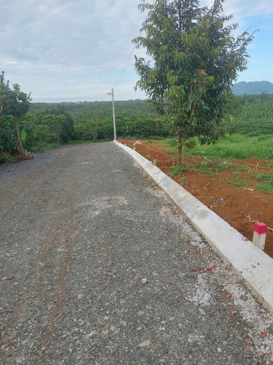 Đất nền Bảo Lộc