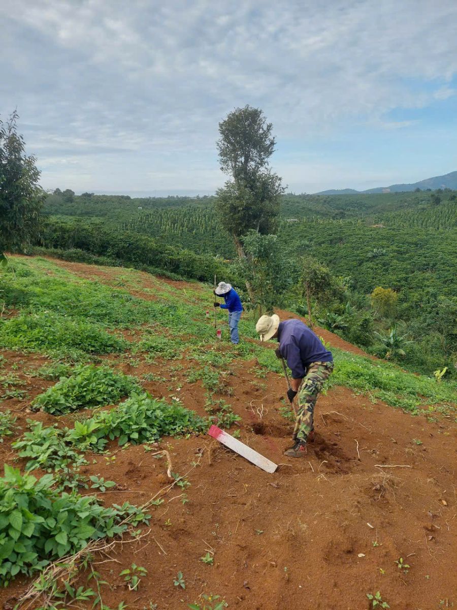 Đất nền Bảo Lộc