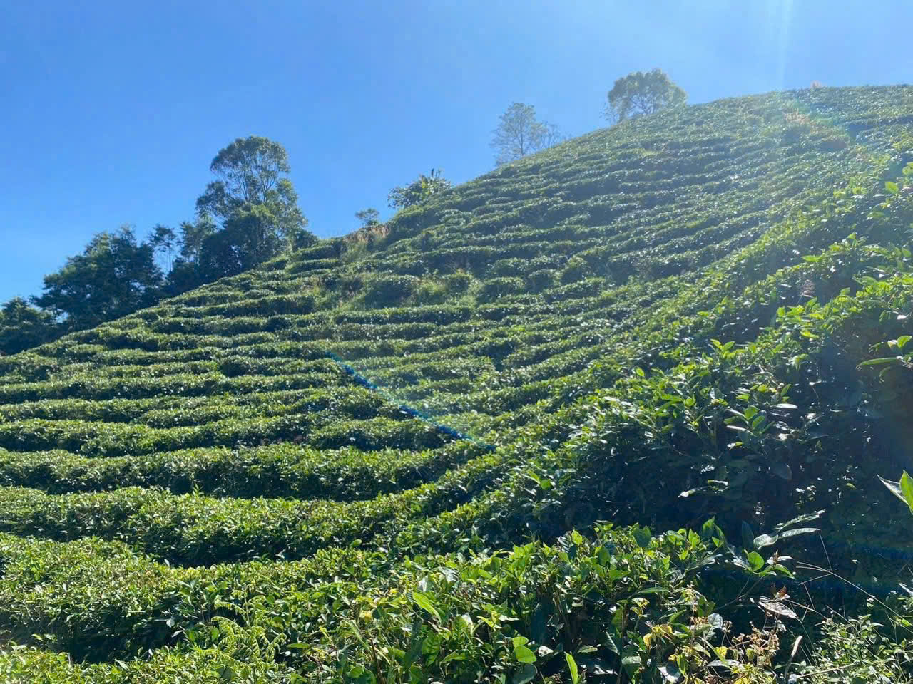 Đất nền Bảo Lộc