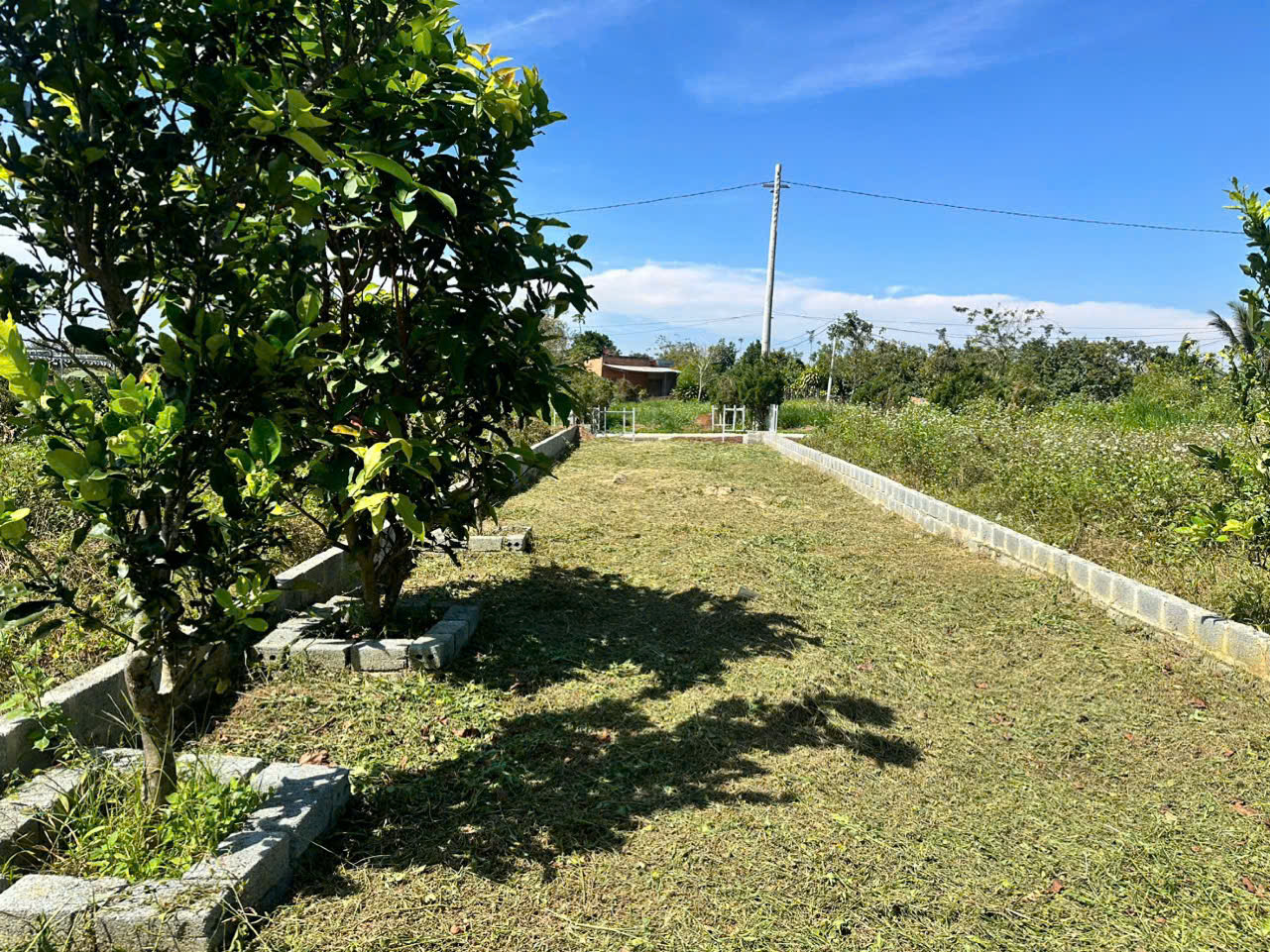 Đất nền Bảo Lộc