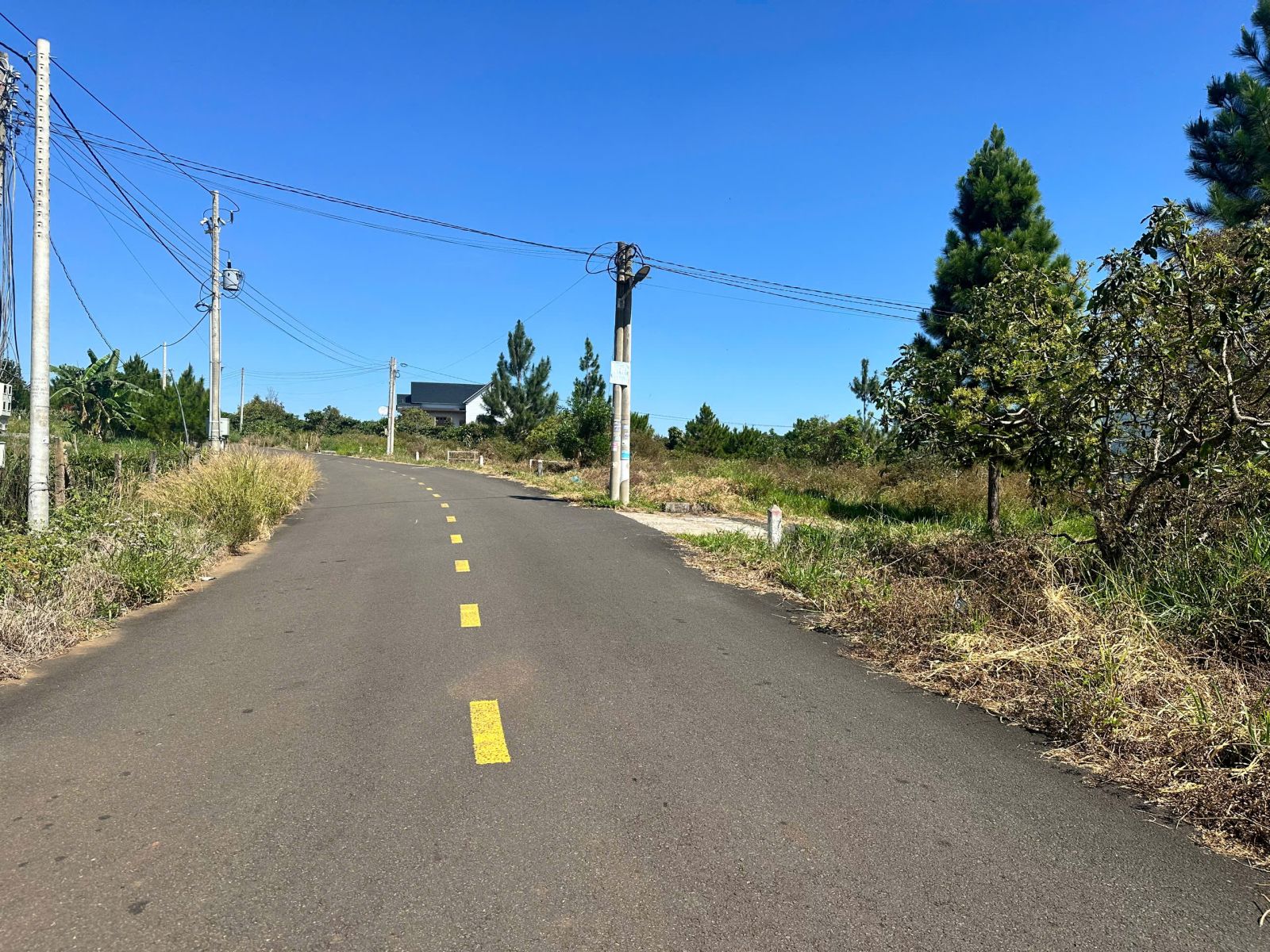 Đất nền Bảo Lộc