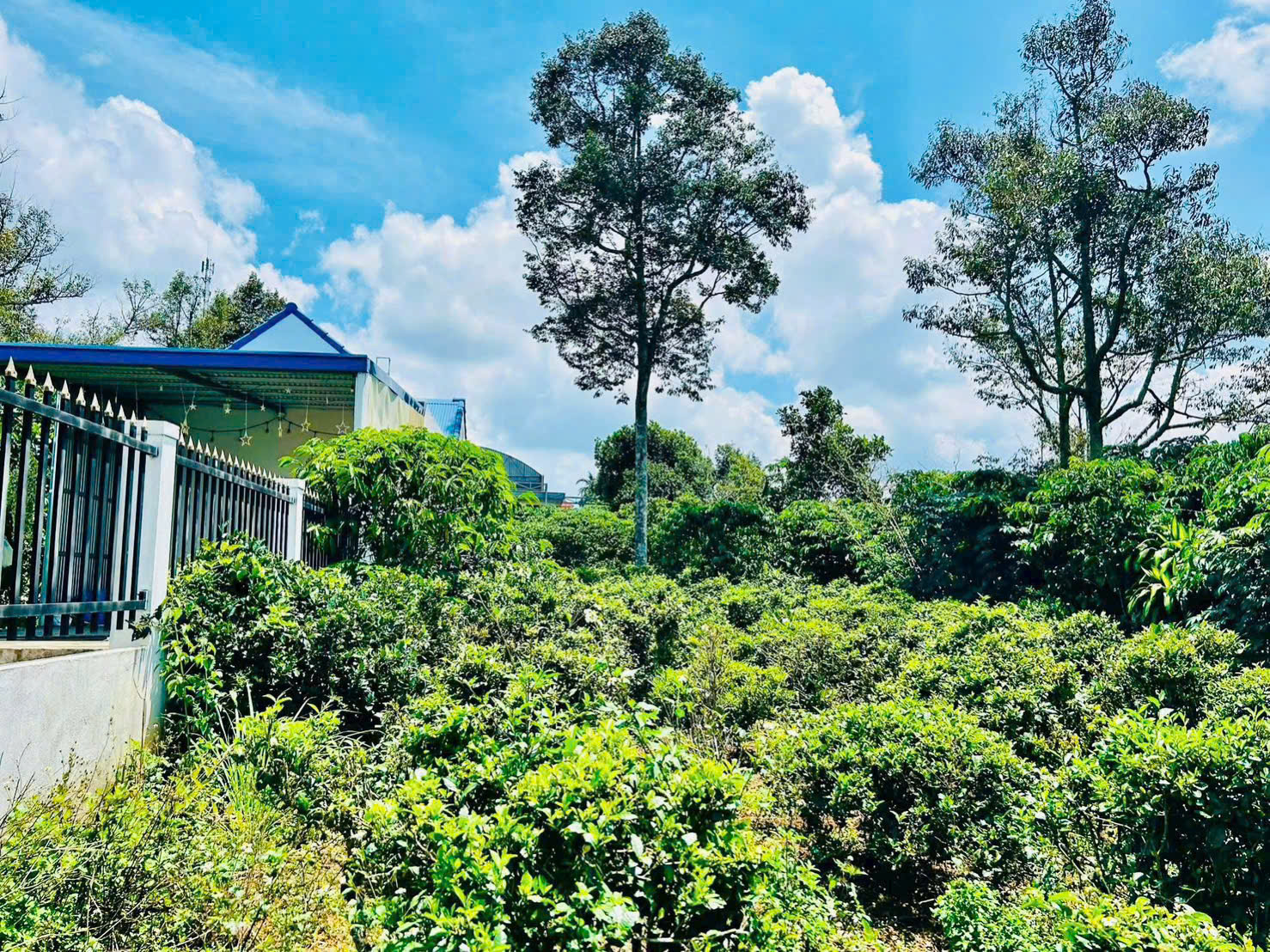 Đất Nền Bảo Lộc 